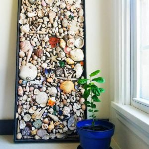 A seashell collection artfully placed on a frame for wall art